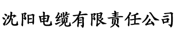 精品亚洲一区二区三区在线播放电缆厂logo